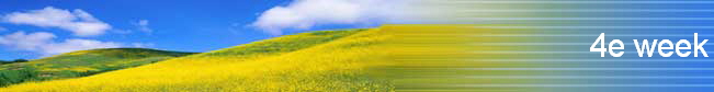 4e week