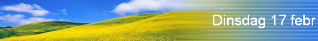 Dinsdag 17 febr