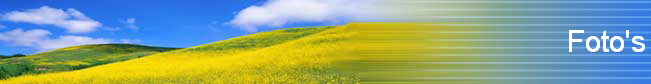 Foto's